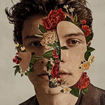 In My Blood - Shawn Mendes album art