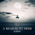 Holes Inside - Joe Brooks album art