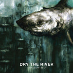 New Ceremony - Dry the River album art