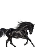 Old Town Road - Lil Nas X album art