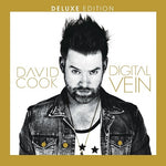 Laying Me Low - David Cook album art