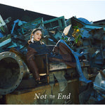 Not the End - Rei Yasuda (安田 レイ) album art