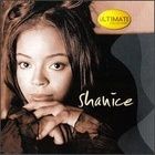 I Love Your Smile - Shanice album art