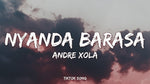 Nyanda Barasa (Remix) - Andre Xola album art