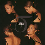 So Into You - Tamia album art
