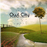 Honey and the Bee - Owl City album art