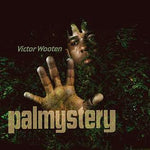 Song for My Father - Victor Wooten album art