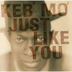 Dangerous Mood - Keb' Mo' album art
