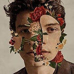 If I Can't Have You - Shawn Mendes album art