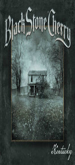 Soul Machine - Black Stone Cherry album art