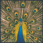 Vampire - The Bluetones album art