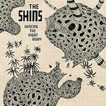 Phantom Limb - The Shins album art