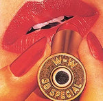 Stone Cold Believer - 38 Special album art