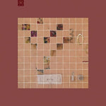 Flowers and You - Touche Amore album art
