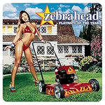 Playmate of the Year - Zebrahead album art