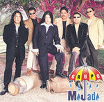Nadie Te Ama Como Yo - Grupo Mojado album art