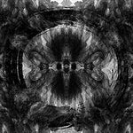 Royal Beggars (Kristina Rybalchenko Drum Cover) - Architects album art