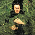 La Nuit Je Mens - Alain Bashung album art