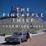 The Final Thing on My Mind - The Pineapple Thief album art