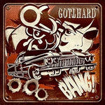 Feel What I Feel - Gotthard album art