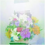 Say It. (言って) - Yorushika (ヨルシカ) album art