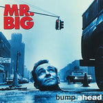 Wild World - Mr. Big album art