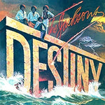 Shake Your Body (Down to the Ground) - the Jacksons album art