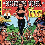 Cool Kids - Screeching Weasel album art