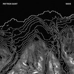 Wave - Paytron Saint album art