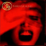 Losing a Whole Year - Third Eye Blind album art
