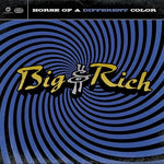 Save a Horse (Ride a Cowboy) - Big & Rich album art
