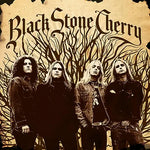 Rain Wizard - Black Stone Cherry album art