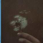 12:34 - The Band Camino album art