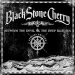 Blame It on the Boom Boom - Black Stone Cherry album art