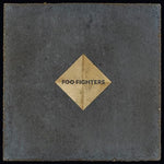 Run - Foo Fighters album art