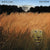 Radar Love - White Lion album art