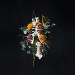 Warrior - Evans Blue album art