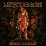 The Abysmal Eye - Meshuggah album art
