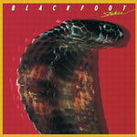 Wishing Well - Blackfoot album art