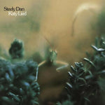 Your Gold Teeth II - Steely Dan album art