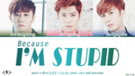 Because I'm Stupid (내 머리가 나빠서) - SS501 (더블에스오공일) album art