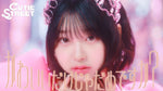 Kawaii Dake Jya Dame Desuka? (かわいいだけじゃダメですか?) "Can't We Just Be Cute?" - Cutie Street (キューティーストリート) album art