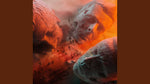Euphoria - Muse album art