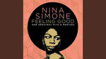 Ain't Got No / I Got Life - Nina Simone album art