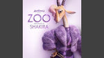 Zoo (from Disney's Zootopia 2) - Shakira album art