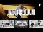Raise a Hallelujah (Instrumental) - Bethel Music album art