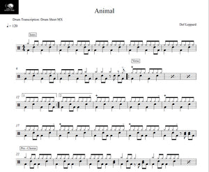 Animal - Def Leppard - Full Drum Transcription / Drum Sheet Music - Drum Sheet MX