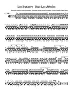 Bajo Los Arboles Los Bunkers Full Drum Transcription / Drum Sheet Music Carlos Dias Aidos