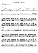 Humpback Whale Bae Sun Yong (배선용) Full Drum Transcription / Drum Sheet Music COPYDRUM