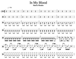 In My Blood Shawn Mendes Full Drum Transcription / Drum Sheet Music Cyril Mayer